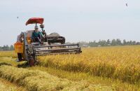 Development of mechanical industry: 2 key points that need to be addressed